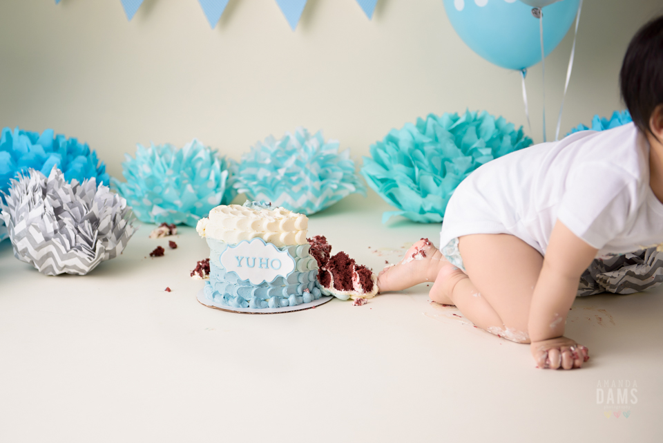 Amanda Dams Cake Smash Baby Photography 42