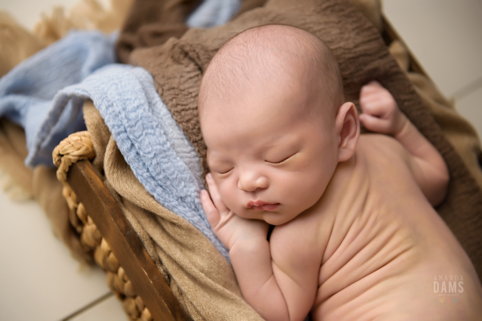 Amanda Dams Newborn Baby Photography 10
