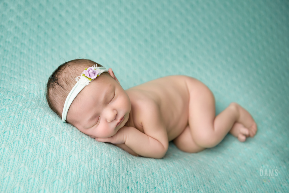 Amanda Dams Newborn Baby Photography 11