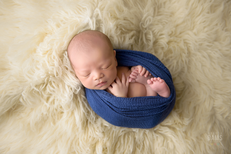 Amanda Dams Newborn Baby Photography 13