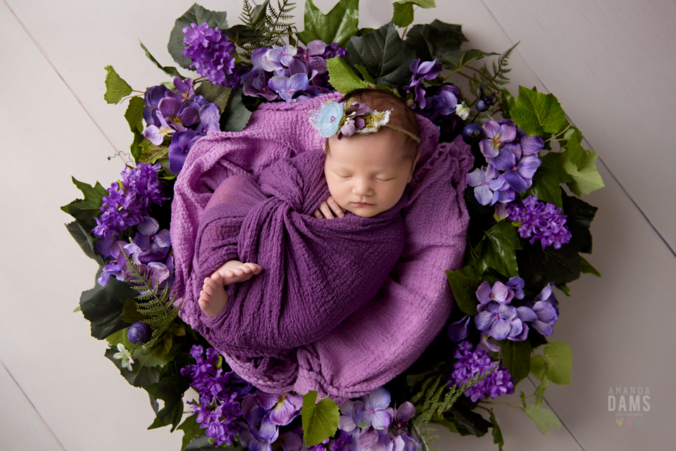 Amanda Dams Newborn Baby Photography 15