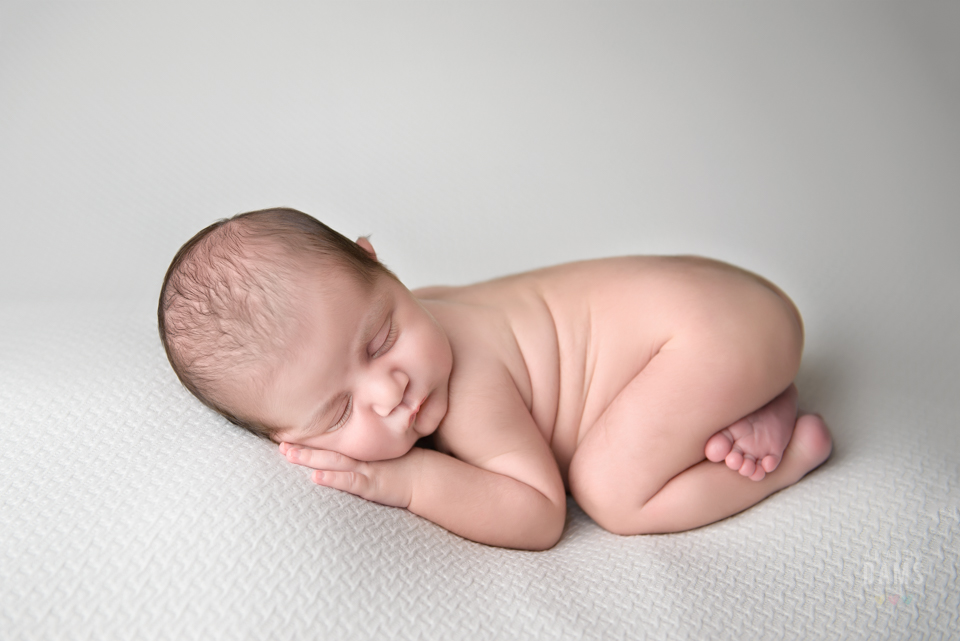 Amanda Dams Newborn Baby Photography 20