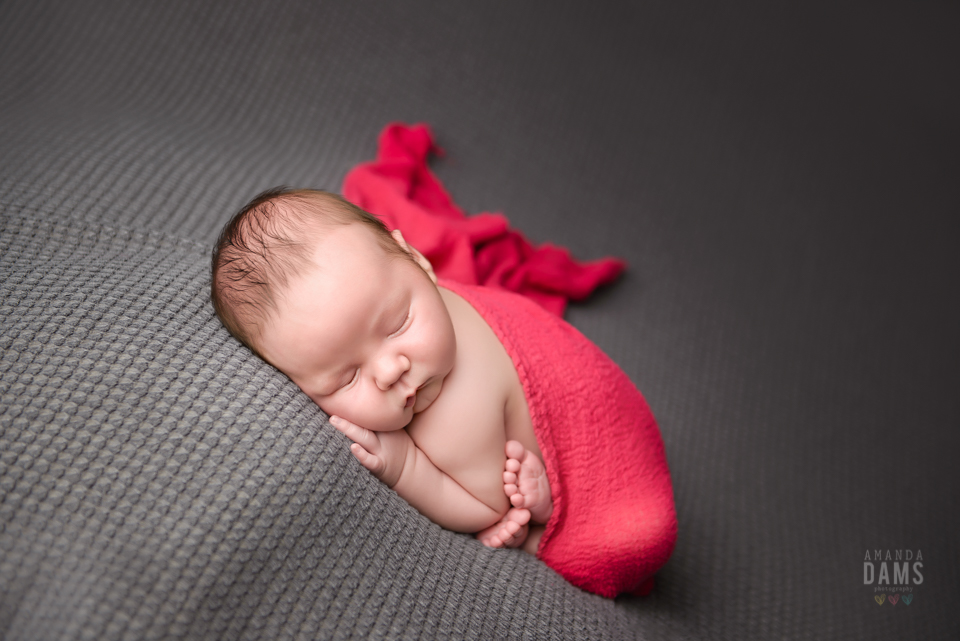 Amanda Dams Newborn Baby Photography 25