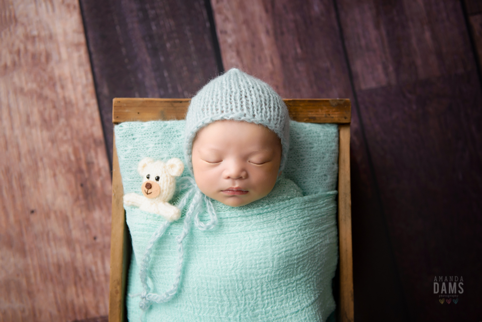 Amanda Dams Newborn Baby Photography 3