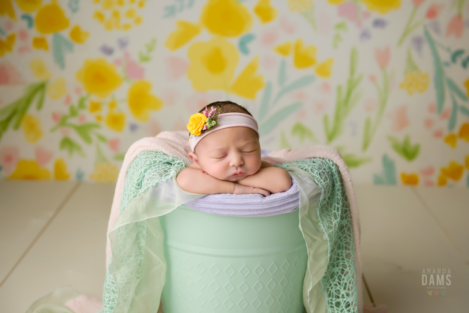 Amanda Dams Newborn Baby Photography 5