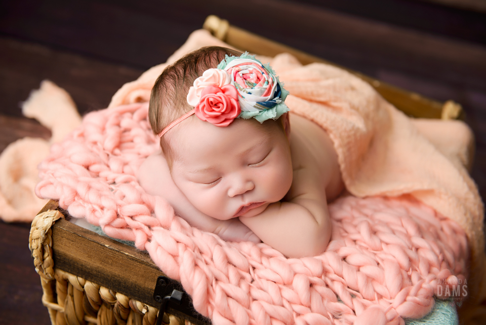 Amanda Dams Newborn Baby Photography 10