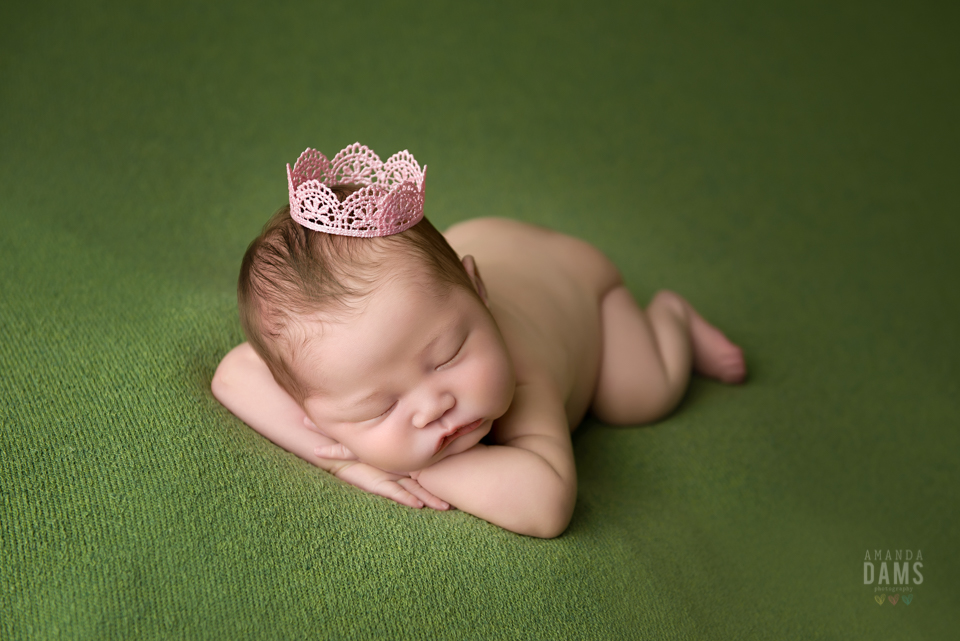 Amanda Dams Newborn Baby Photography 22