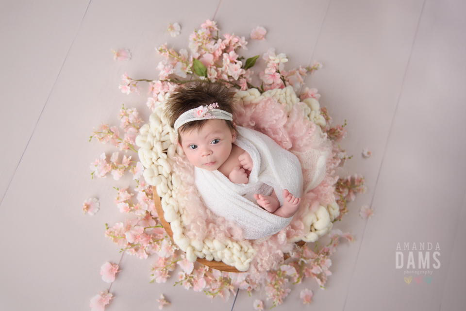 Amanda Dams Newborn Baby Photography Lylah 2