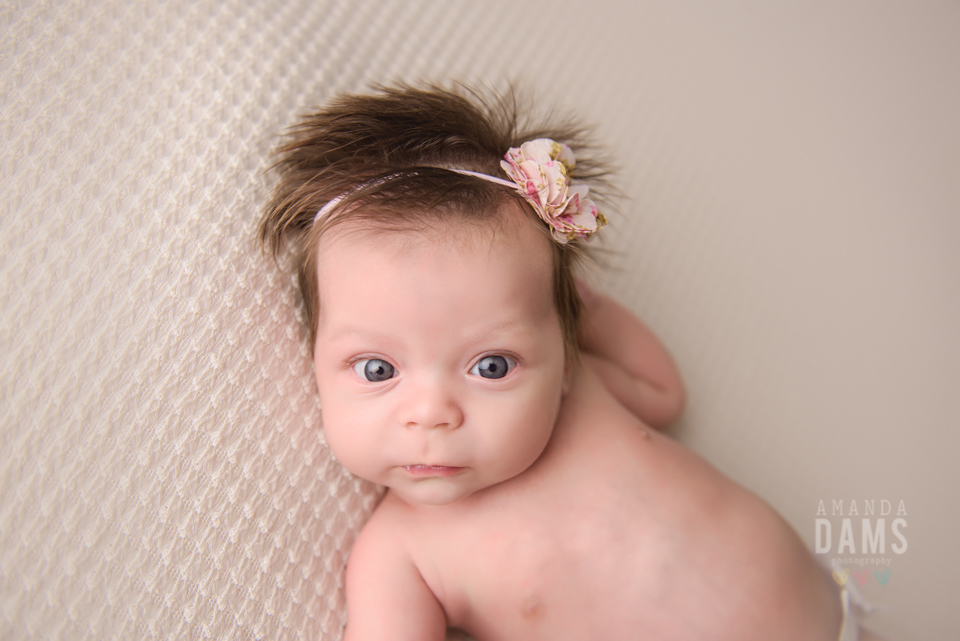 Amanda Dams Newborn Baby Photography Lylah 24