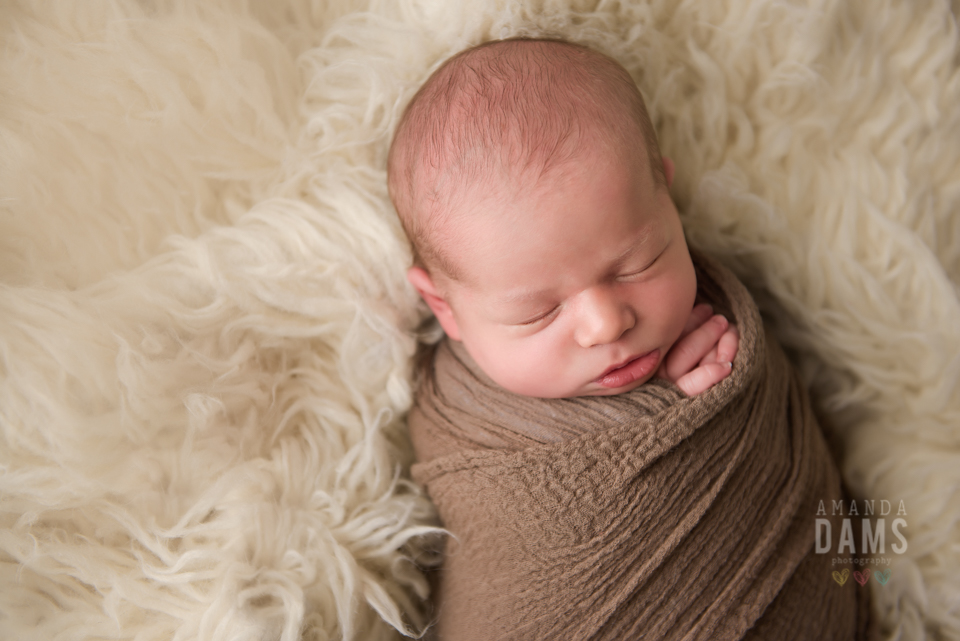 Amanda Dams Newborn Photography Baby Boy Brown Wrap Beige Fur