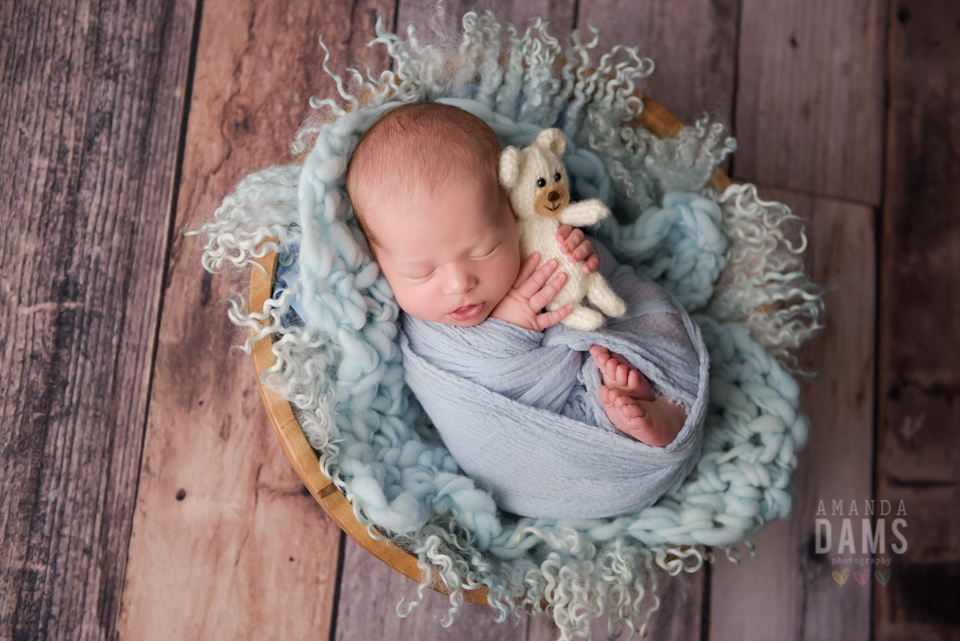 Amanda Dams Newborn Photography Baby Boy Holding Teddy Bear