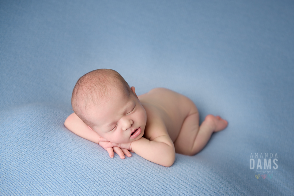 Amanda Dams Newborn Photography Blue Blanket