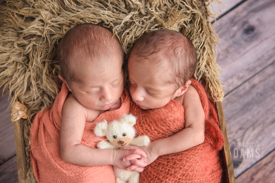 Amanda Dams Photography Baby Twins Kiyaan Krishaan 4