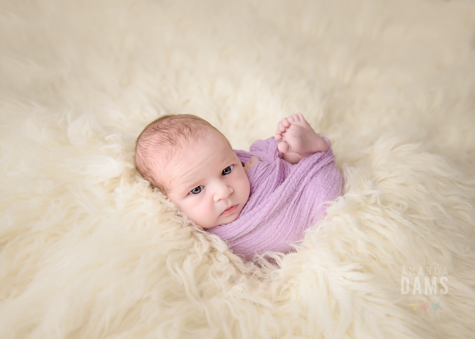 Newborn Photography Calgary Amanda Dams Newborn Baby On Cream Fur