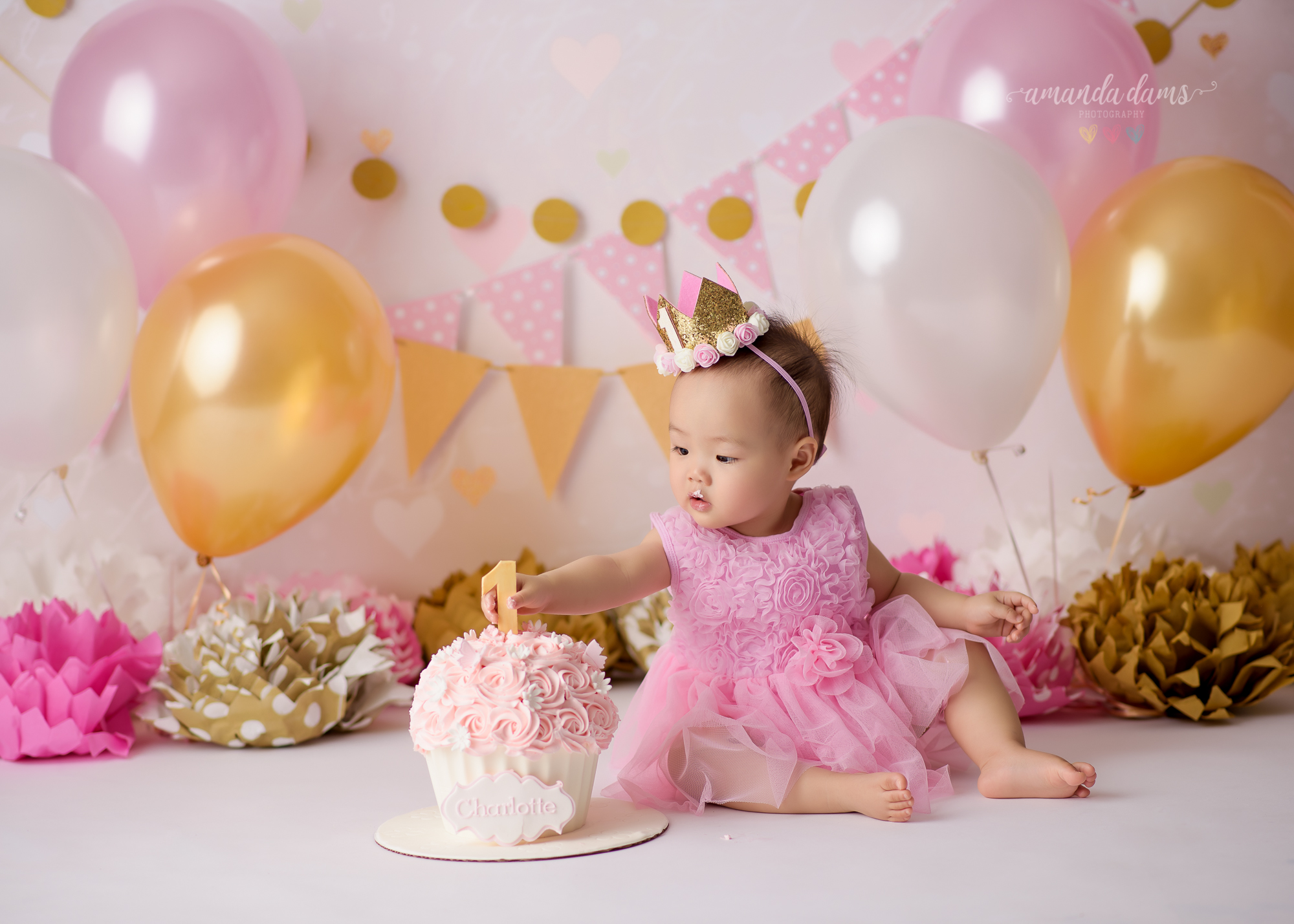 Amanda Dams Photography Pink And Gold Cake Smash Charlotte Touching Cake