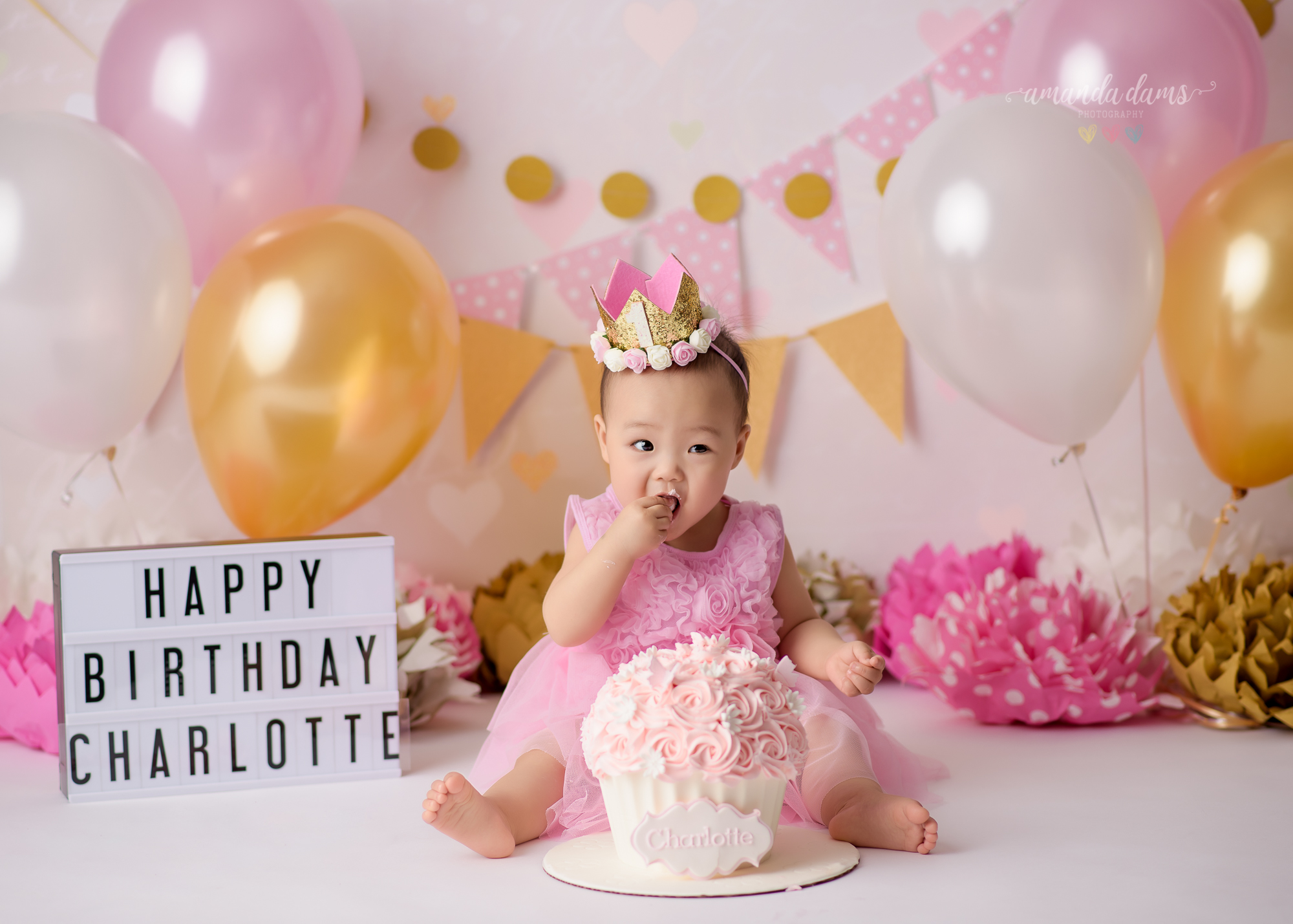 Amanda Dams Photography Pink And Gold Cake Smash Happy Birthday Charlotte