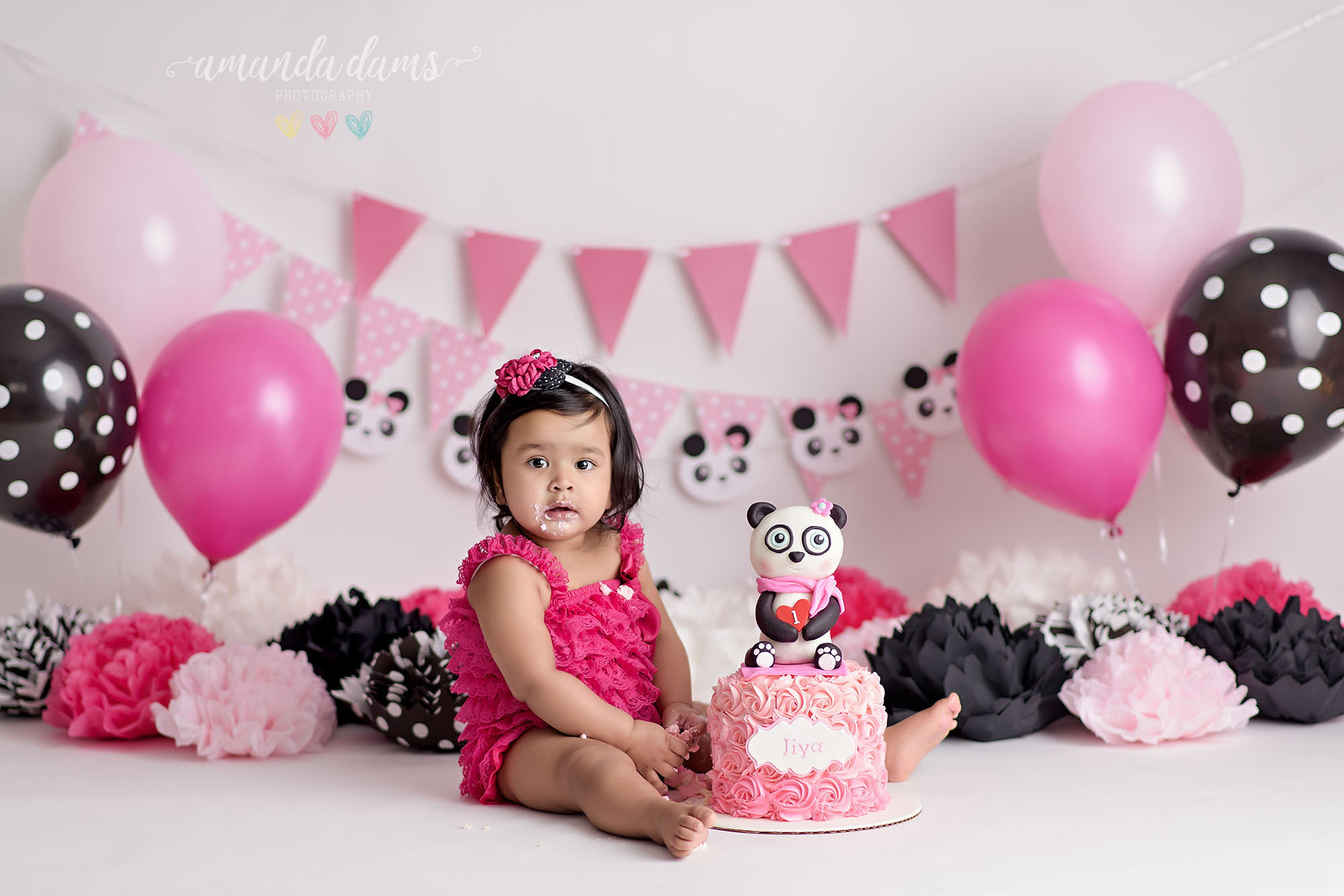 Panda Bear Pink White Black Cake Smash Amanda Dams Photography