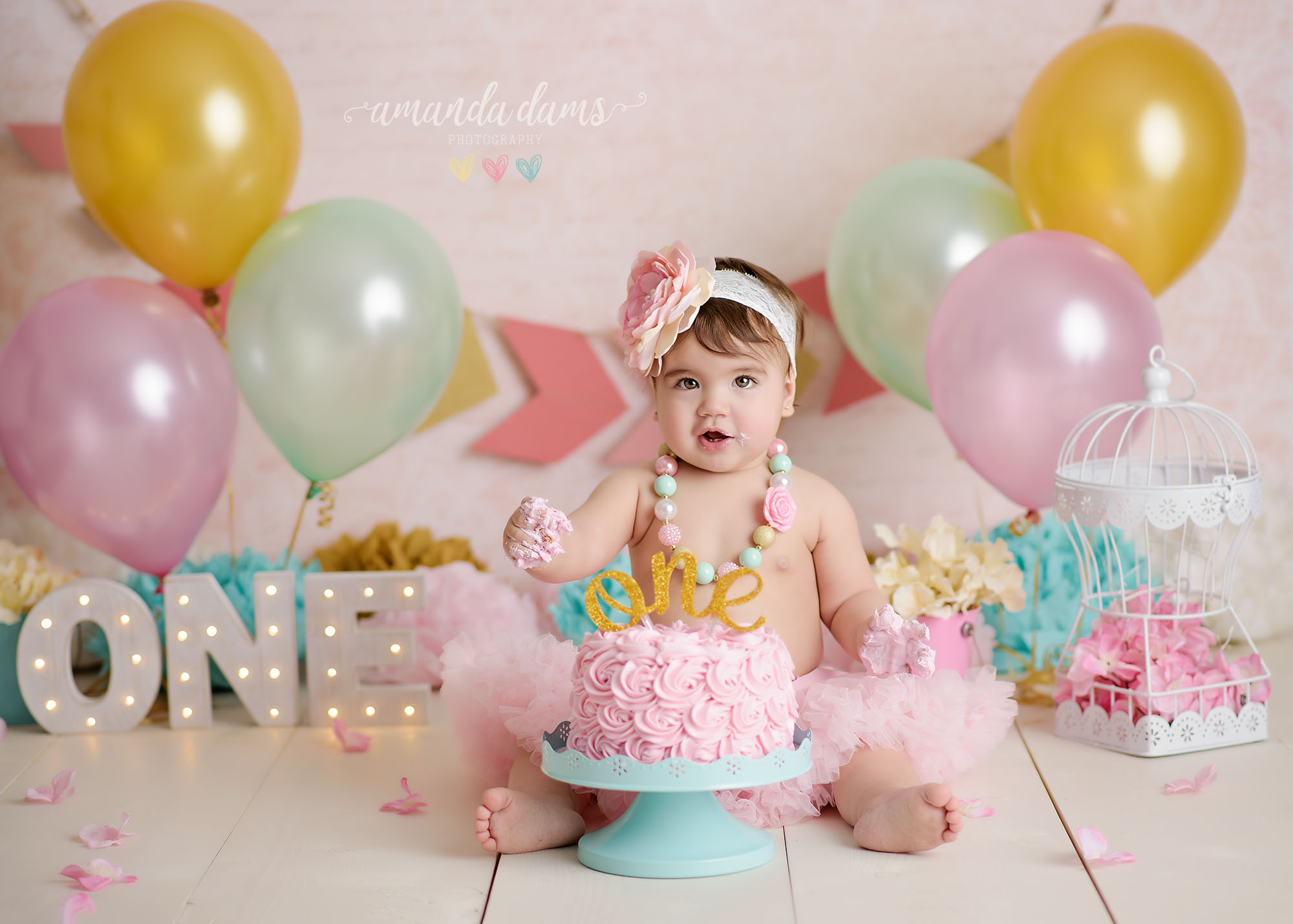 Pink Mint Gold Cake Smash Amanda Dams Photography