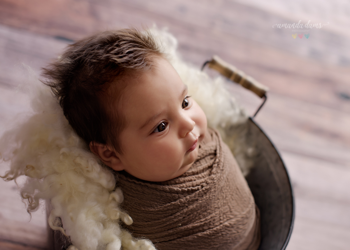 Amanda Dams Newborn Photography 2 Months Old Baby 1