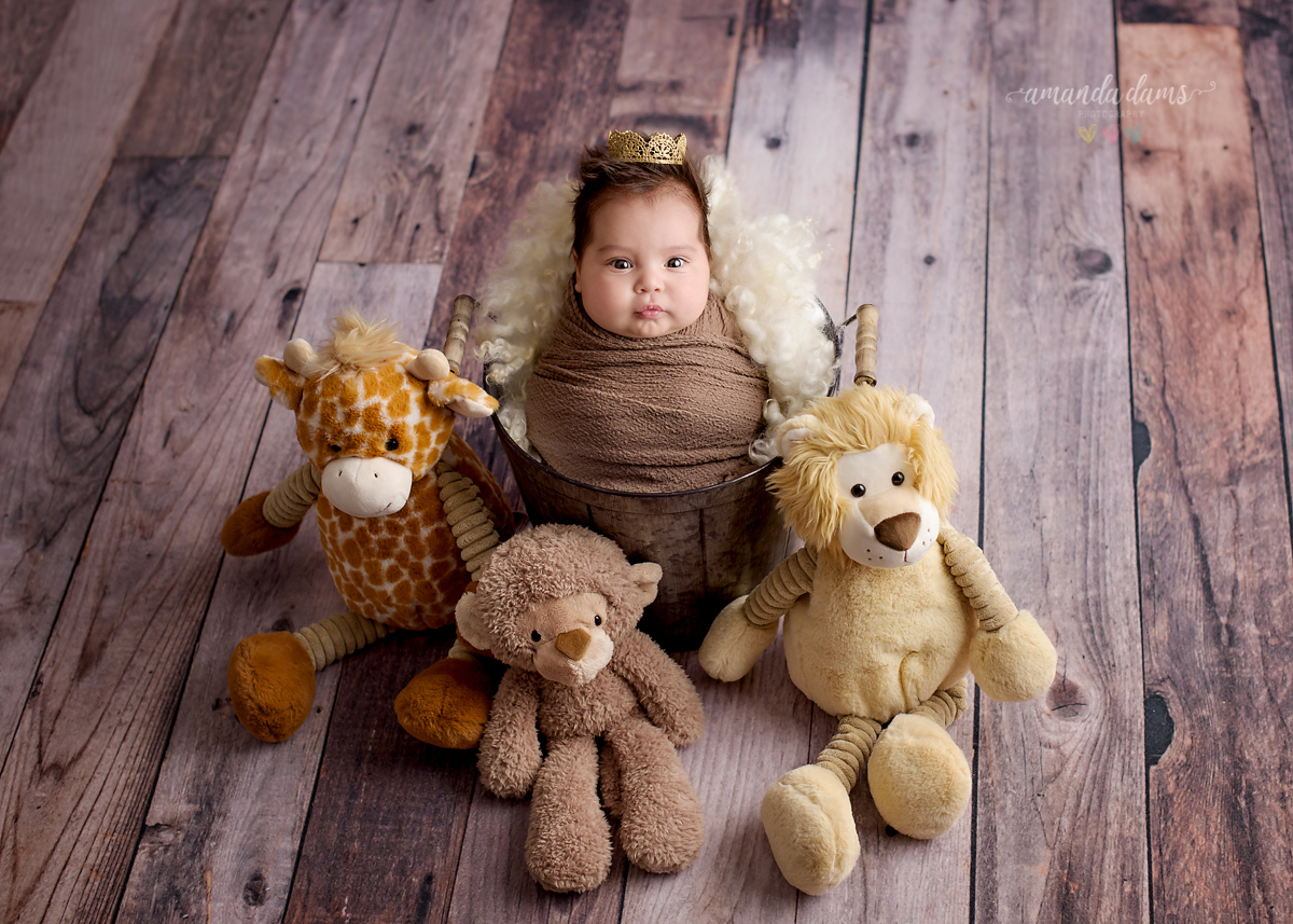Amanda Dams Newborn Photography 2 Months Old Baby 4