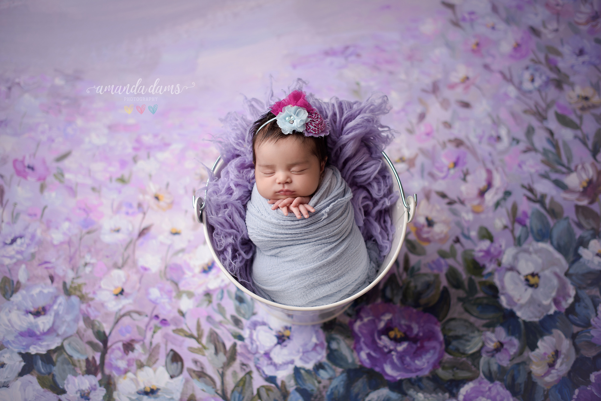 Newborn Photography Calgary Amanda Dams Photography Baby Amara Sleeping On Bucket With Purple Flowers