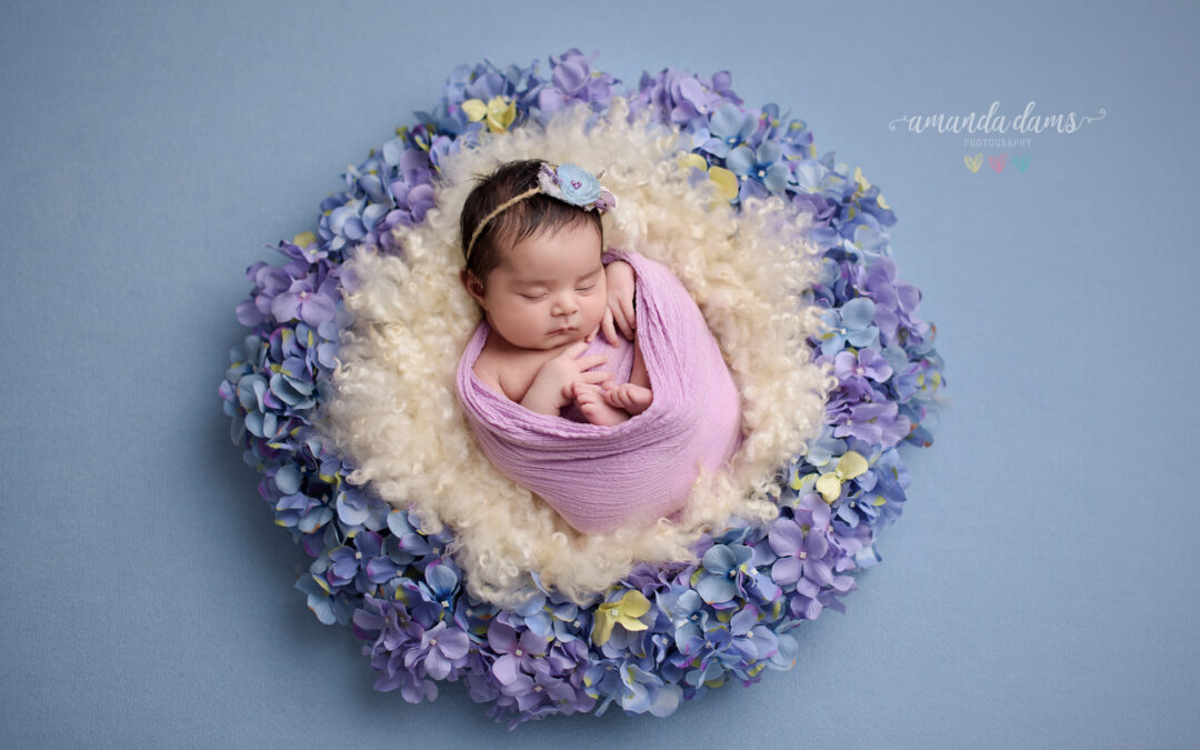 Spring Colours Newborn and Family Photography in Calgary AB | Amara