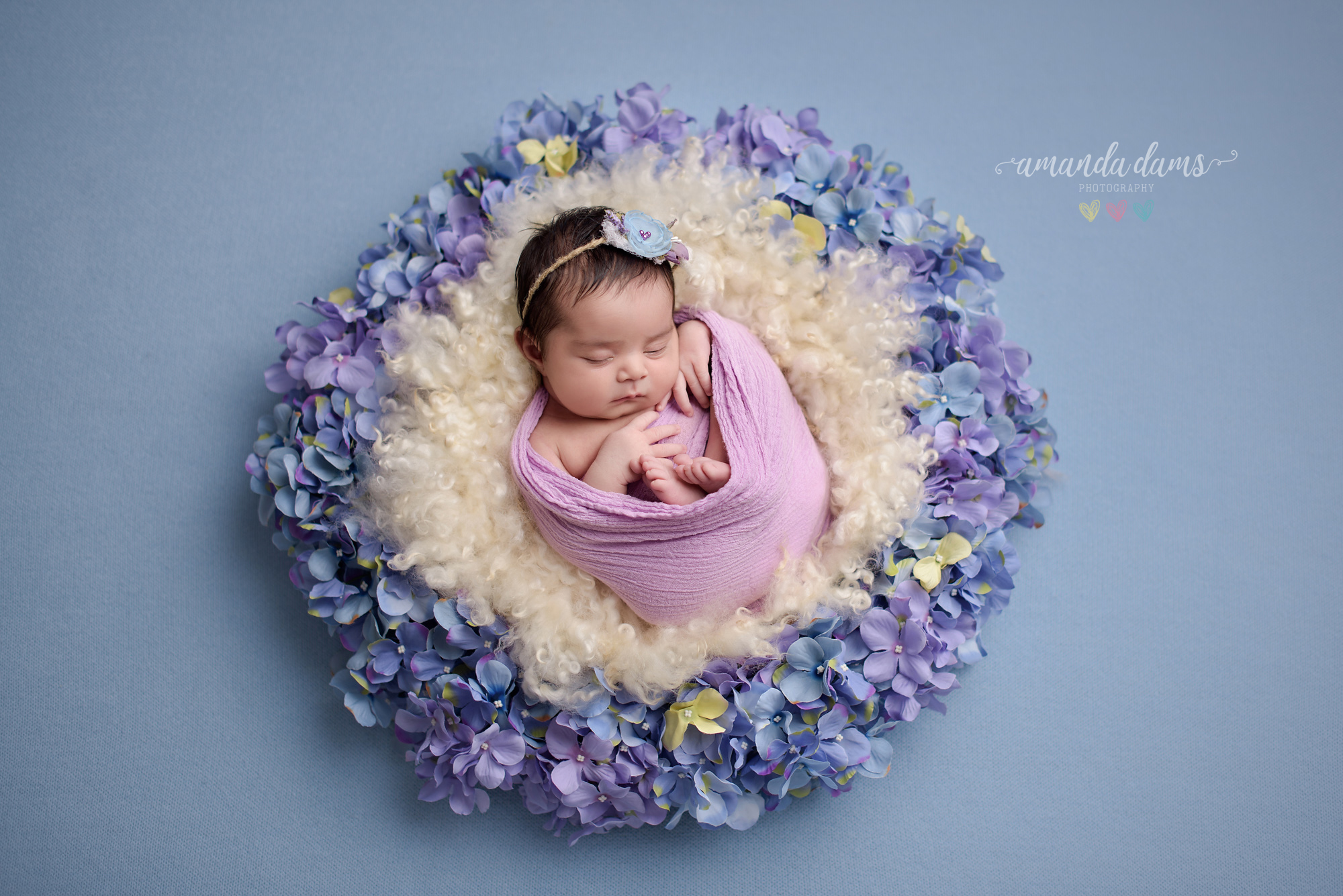 Newborn Photography Calgary Amanda Dams Photography Baby Amara Sleeping On Purple Flowers
