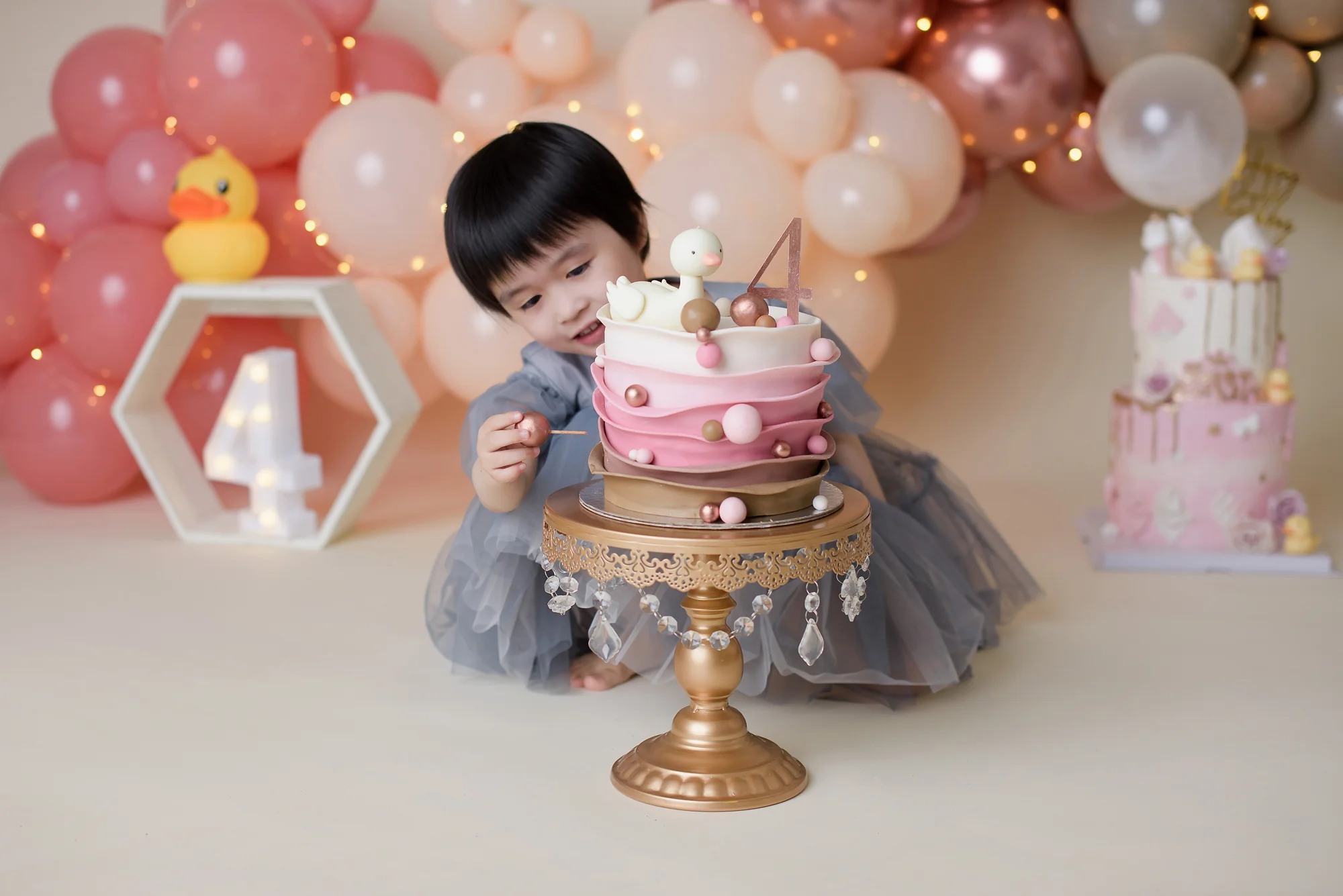 amanda dams photography kelly 4th birthday 57