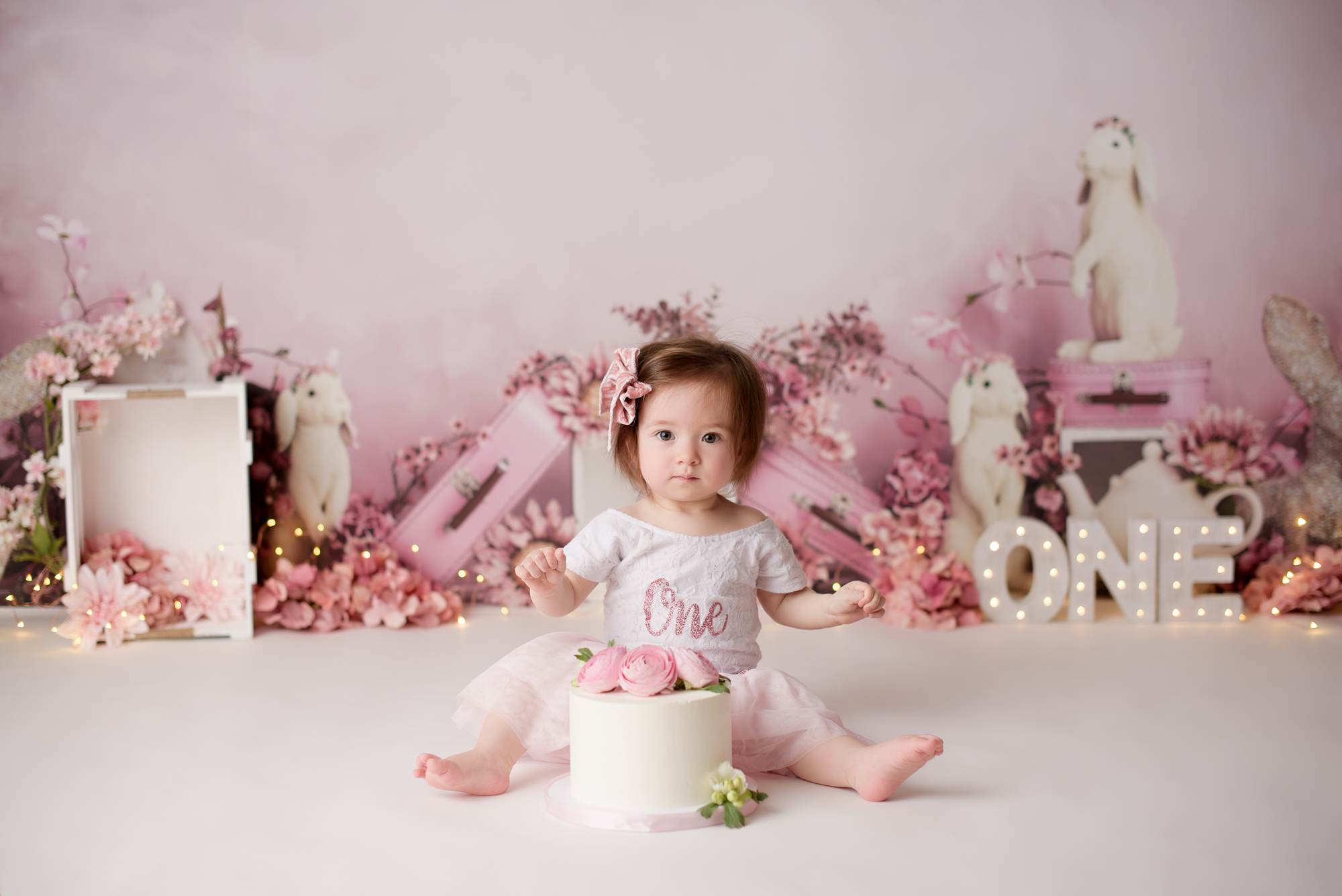 amanda dams photography cake smash pink bunny