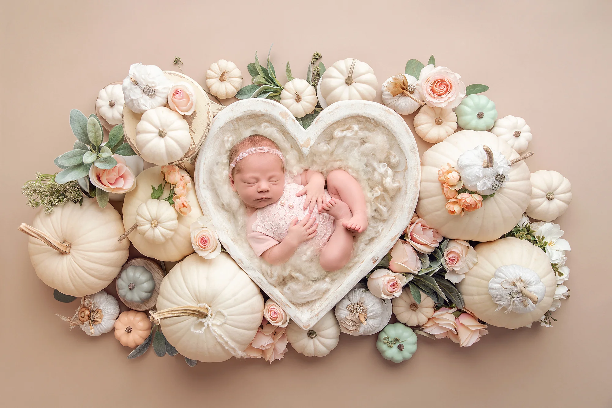 Newborn Digital Backdrop - Lauree Jane Photography, LLC