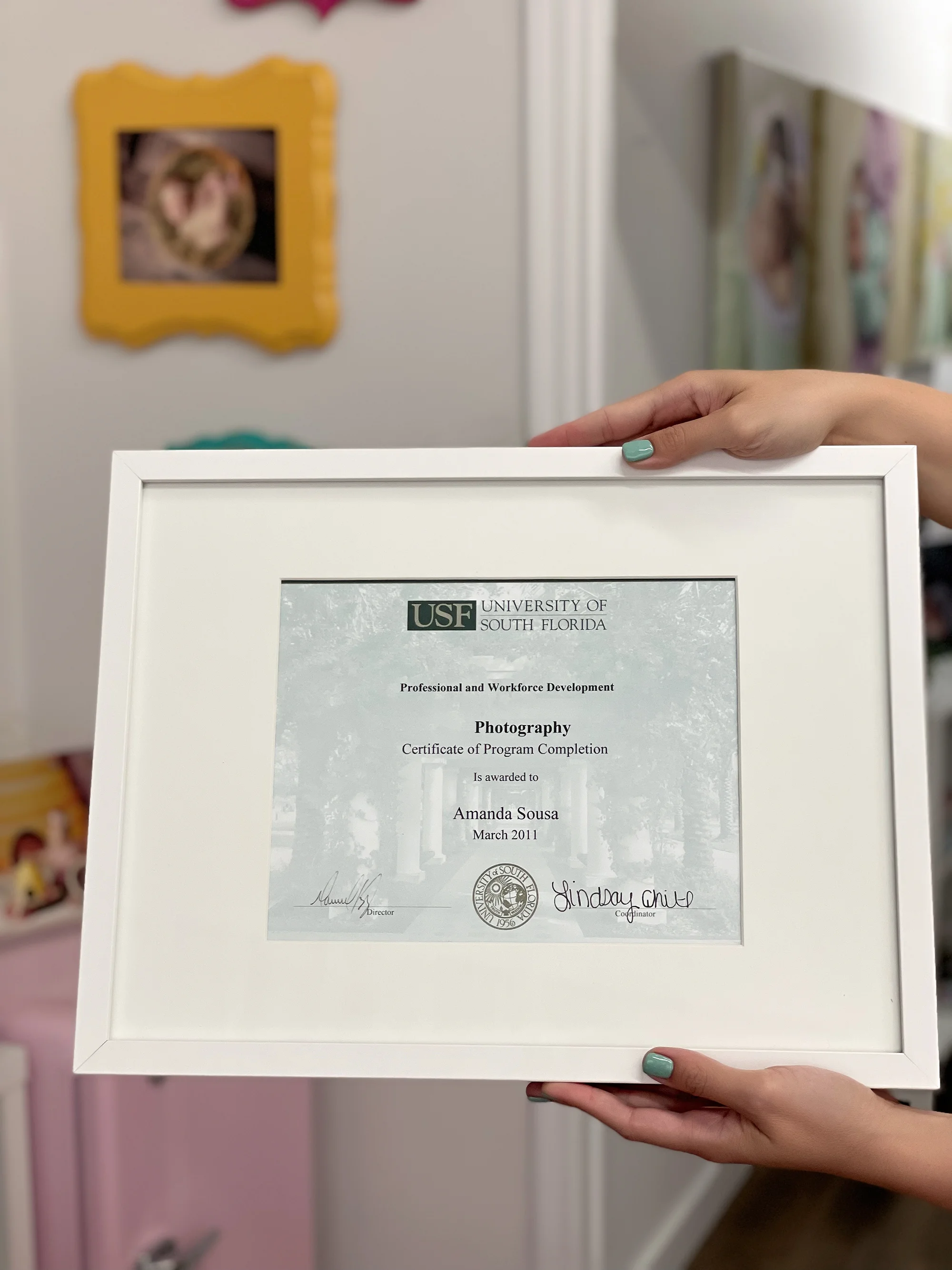 Photography Certificate at USF