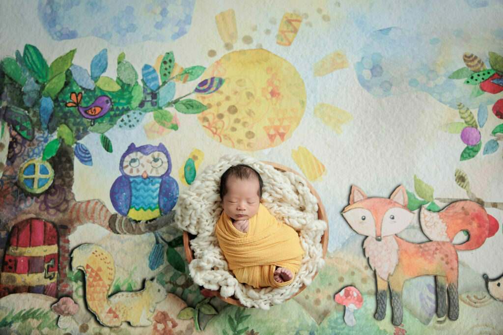 amanda dams photography baby eason 16 amanda dams photography baby eason 16