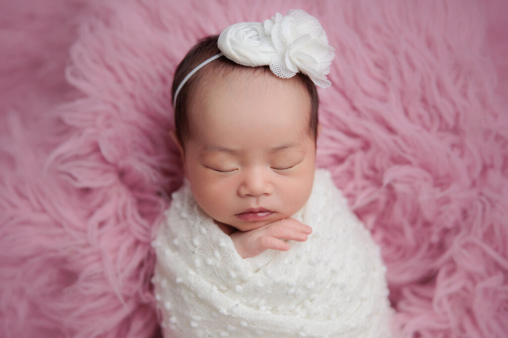 amanda dams photography baby sophia 20 amanda dams photography baby sophia 20