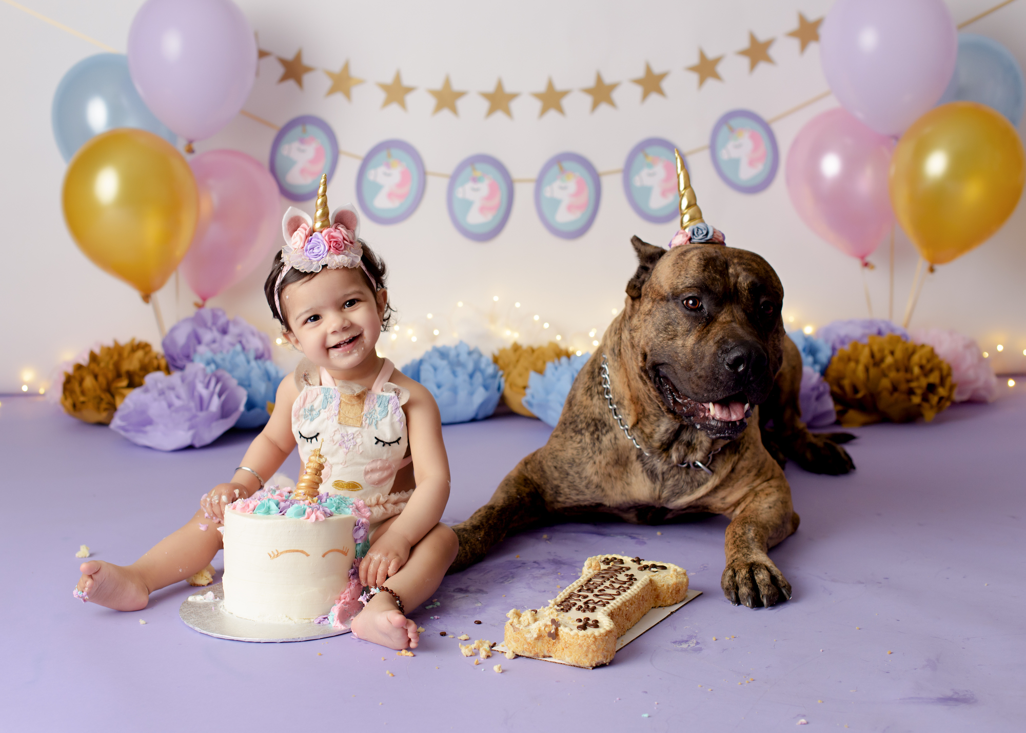 amanda dams photography cake smash avani 40