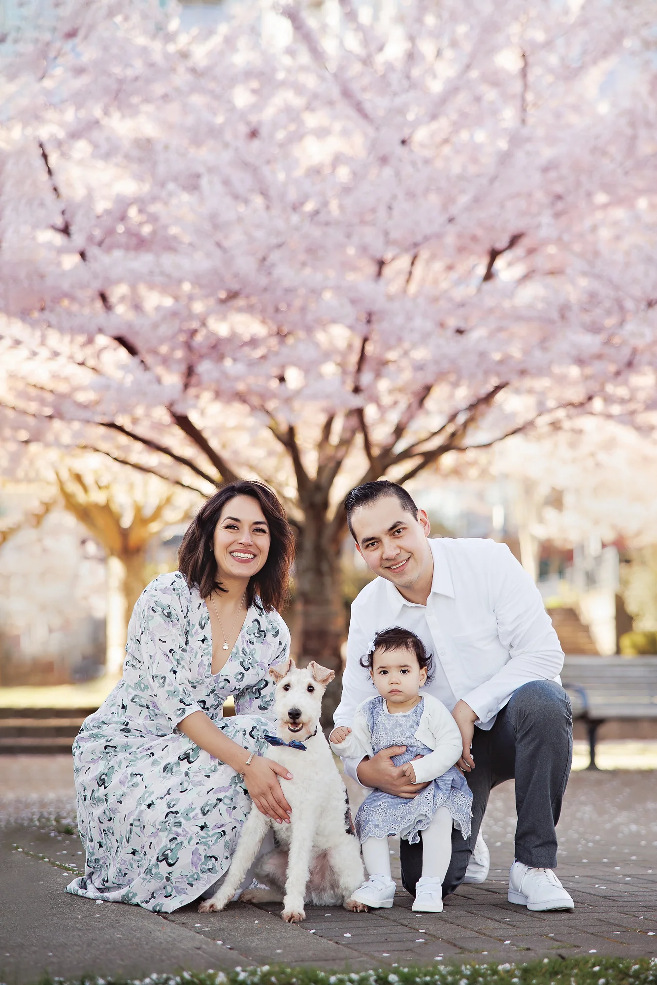 family photography calgary cherry blossom with baby girl and puppy
