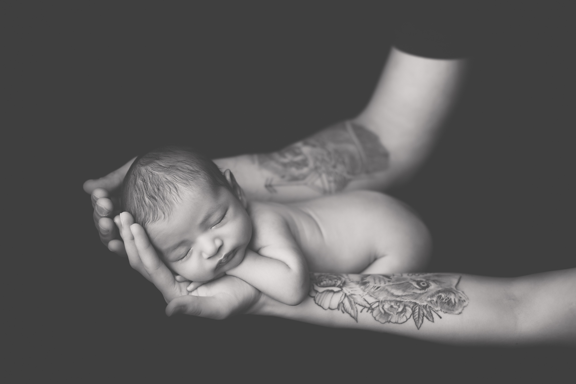 newborn photography dad holding baby in his hands