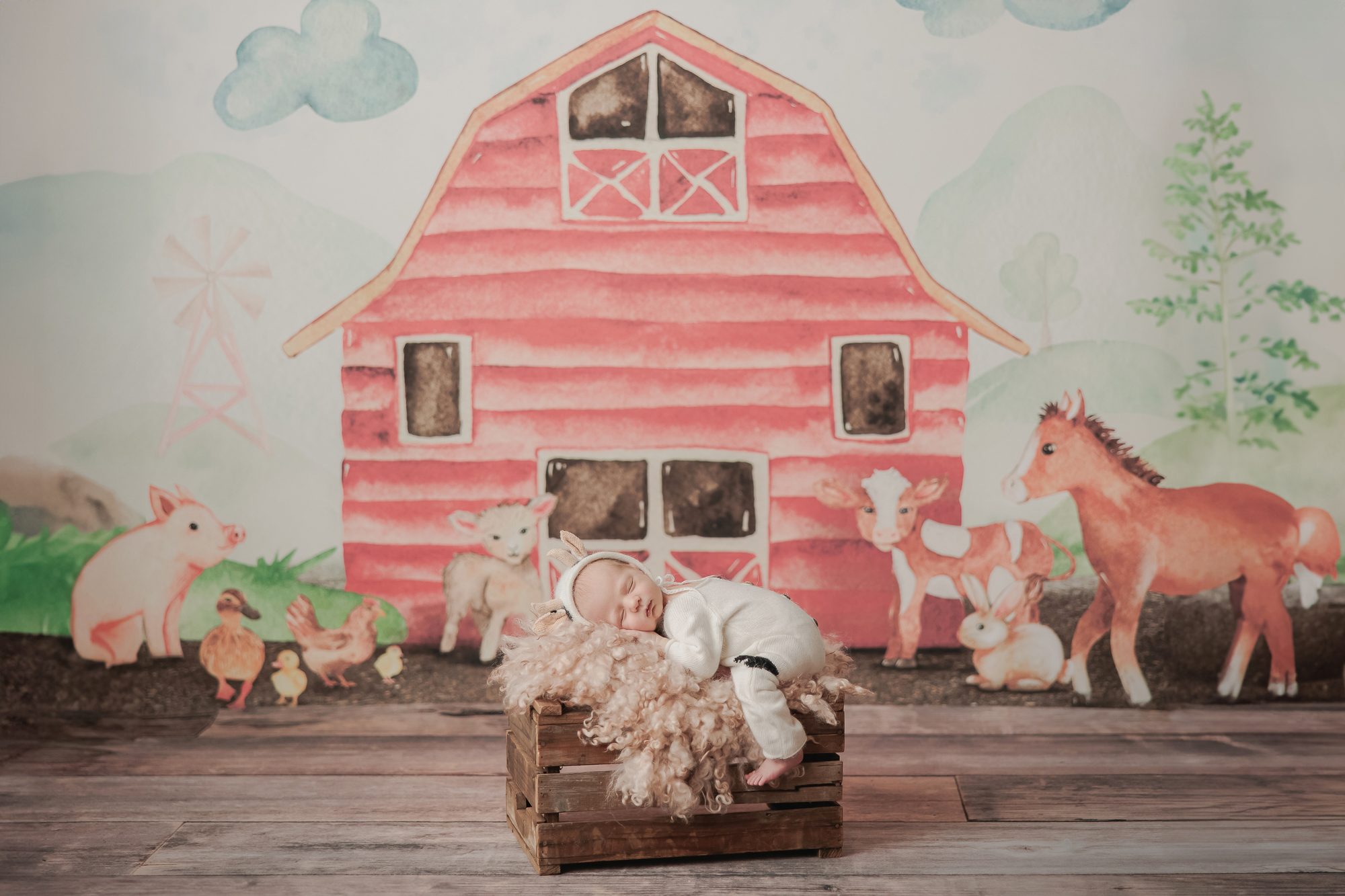 Amanda Dams Photography Newborn Baby Beckett 10