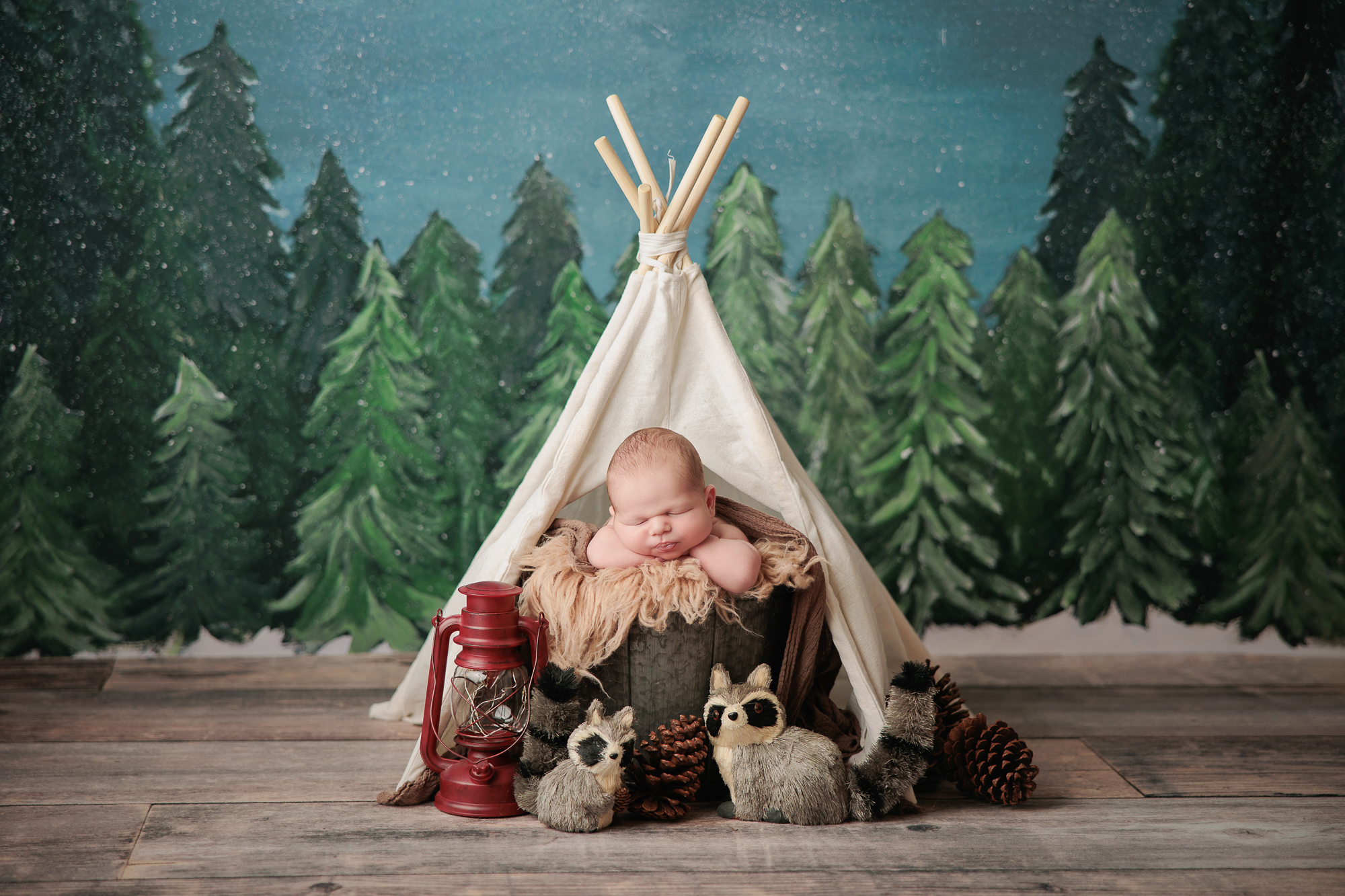 Amanda Dams Photography Newborn Baby Harrison 6
