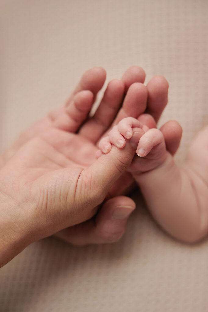 Amanda Dams Photography Newborn Baby Harrison 8 Amanda Dams Photography Newborn Baby Harrison 8