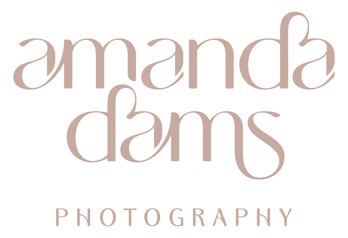 Newborn Photographer logo - Amanda Dams Photography