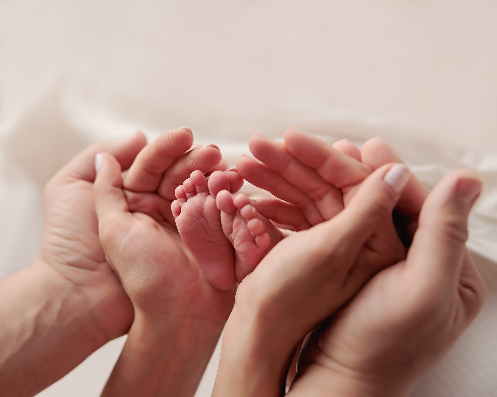 Amanda Dams Newborn Photography Baby Feet Parents Hands