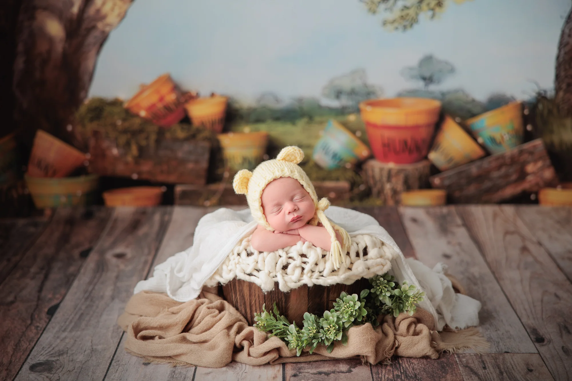Amanda Dams Newborn Photography Calgary Baby Pooh