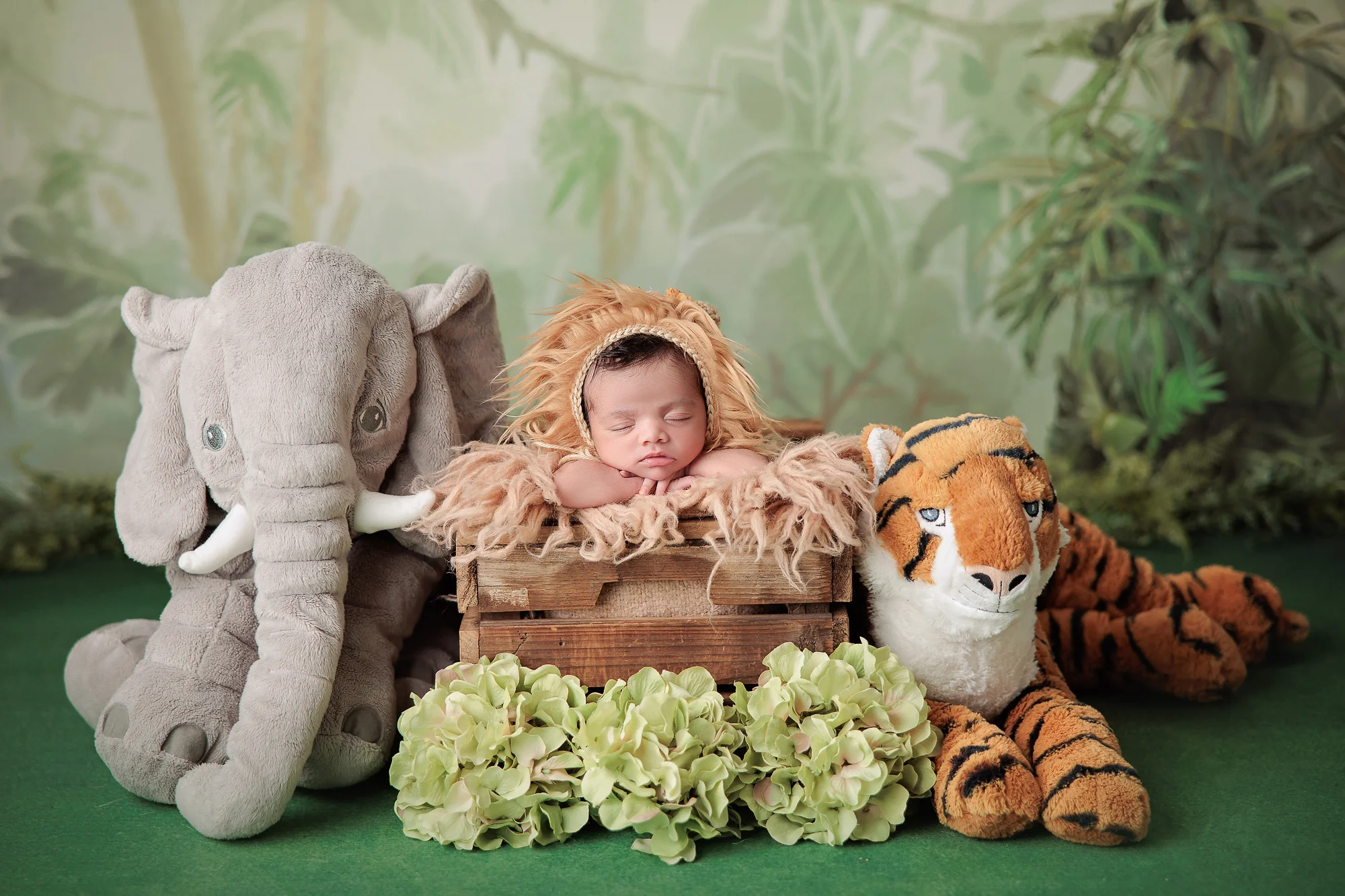 Amanda Dams Newborn Photography Calgary Baby Safari