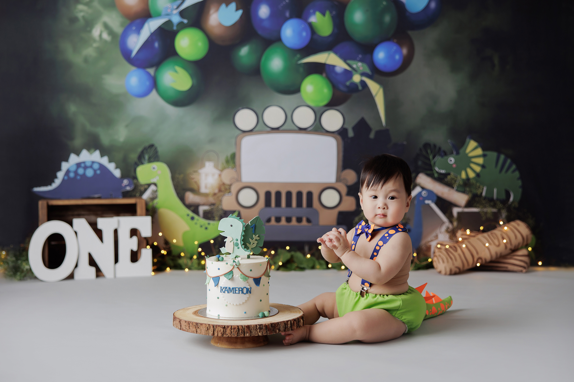 Amanda Dams Photography Dinosaur Cake Smash