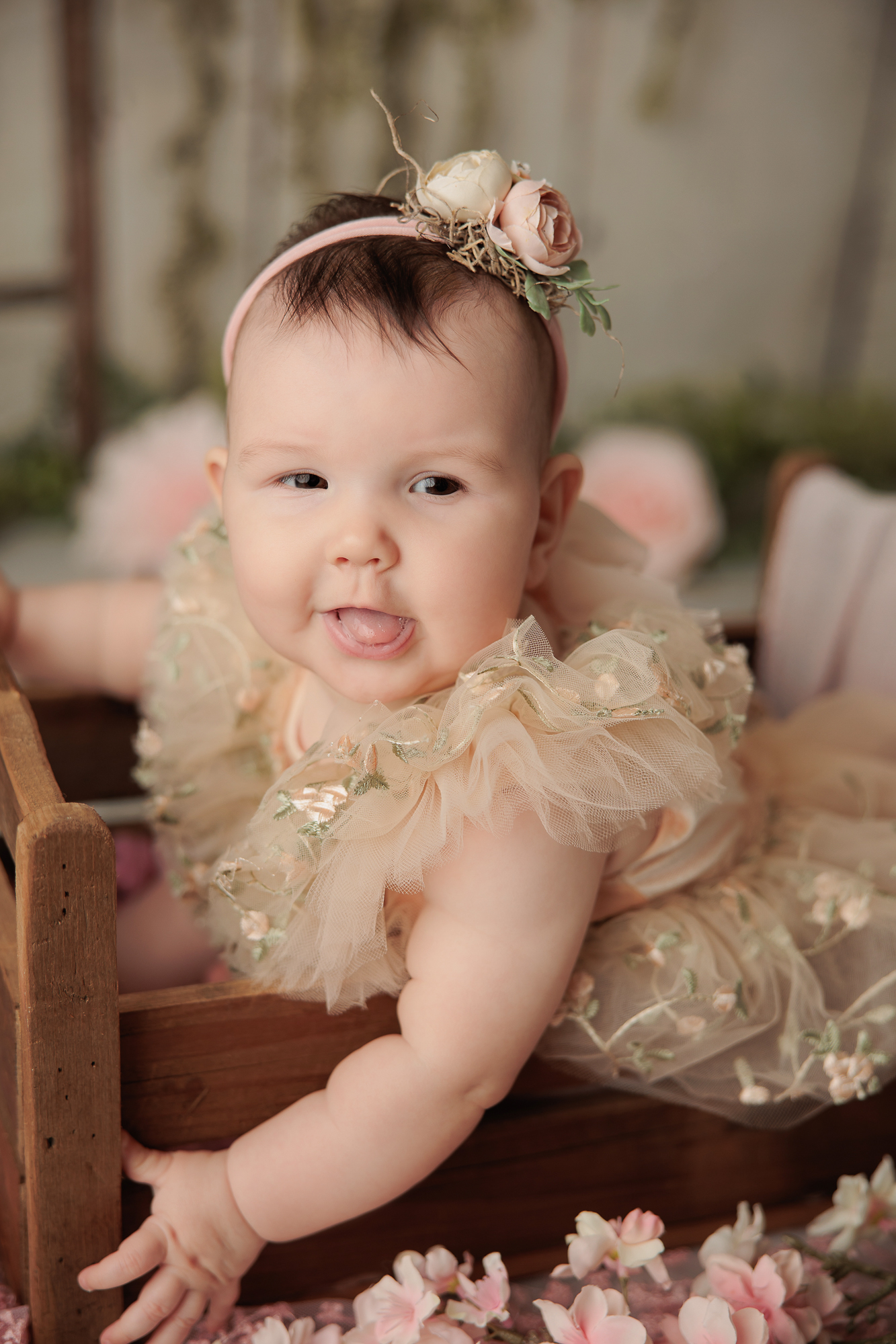 Amanda Dams Photography Baby Iara 14 Amanda Dams Photography Baby Iara 14