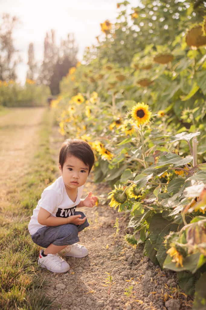 Amanda Dams Photography Evan 2nd Birthday 2 Amanda Dams Photography Evan 2nd Birthday 2