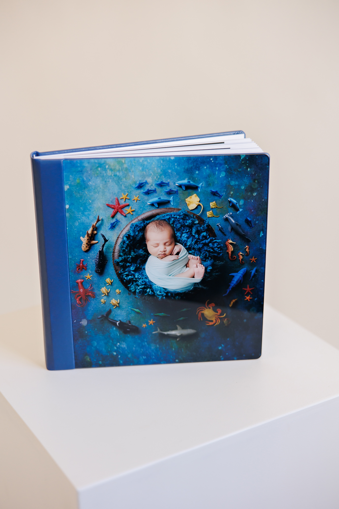 Newborn Photography Acrylic Album Amanda Dams 10