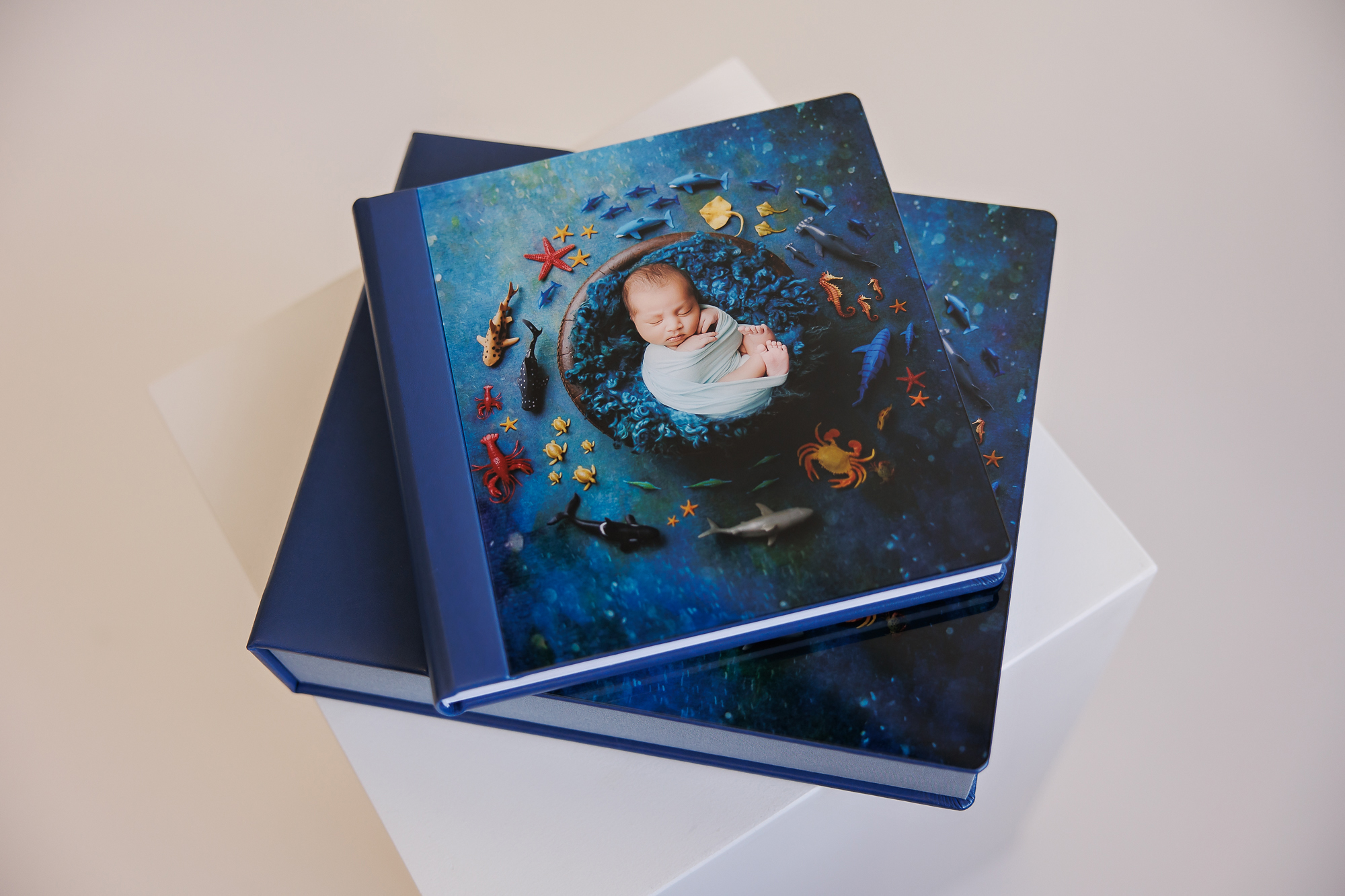 Newborn Photography Acrylic Album Amanda Dams 18