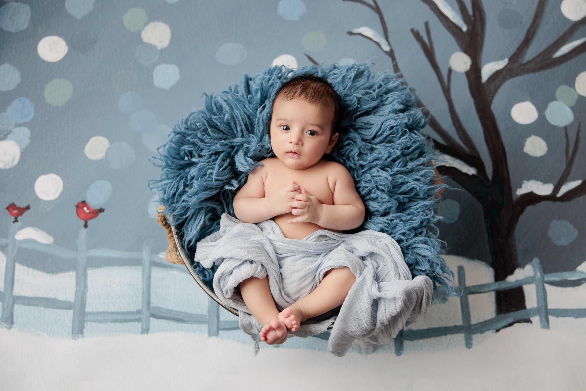 Amanda Dams Photography Baby Aarnik 2 Amanda Dams Photography Baby Aarnik 2