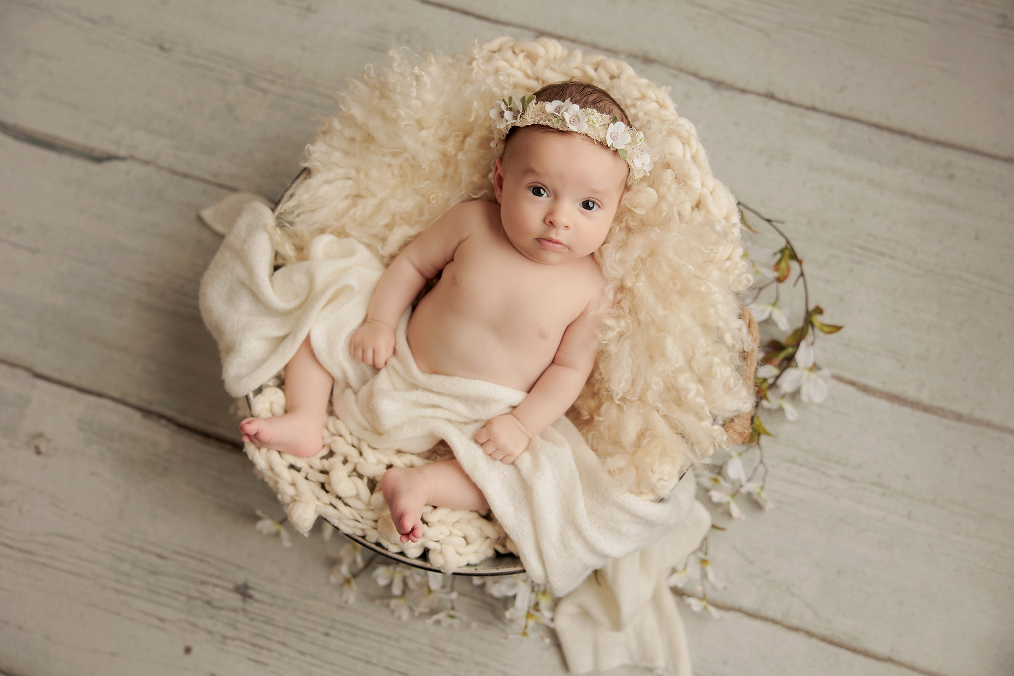 Amanda Dams Photography Baby Gracie 3 Amanda Dams Photography Baby Gracie 3